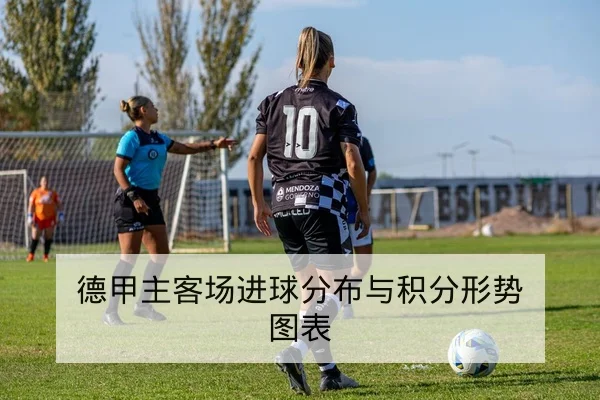德甲主客场进球分布与积分形势图表